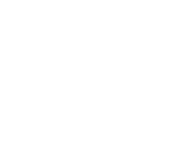 D-STANDARD